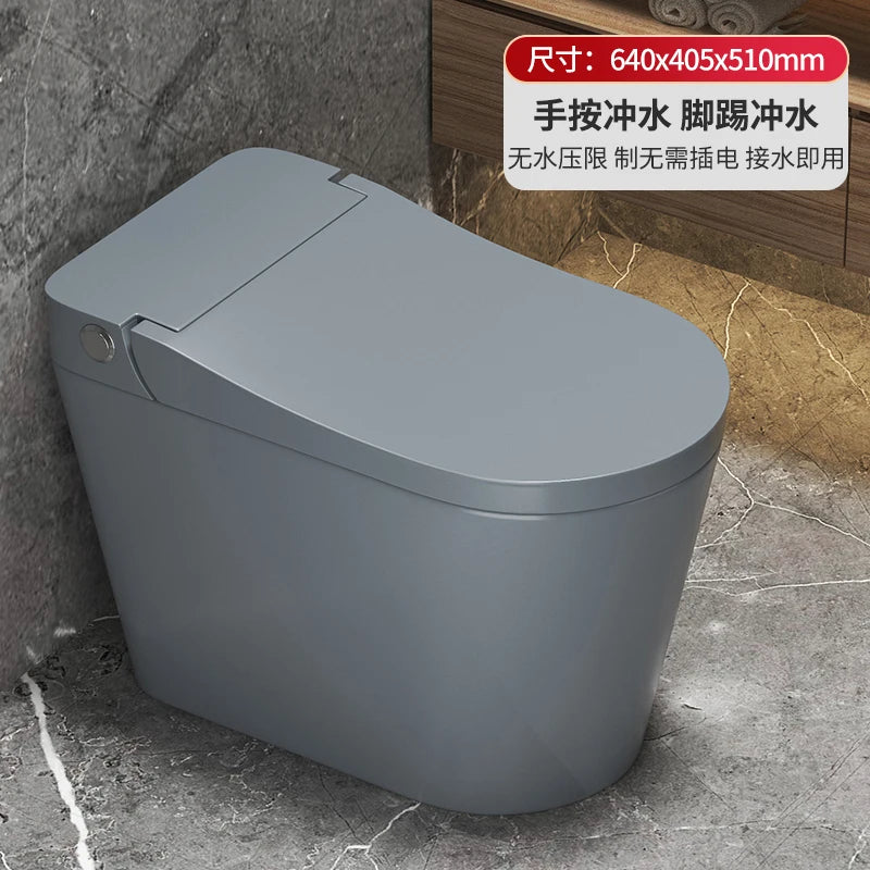 grey Color Silent Flush Toilet – Cyclone Flushing, Dual-Flush