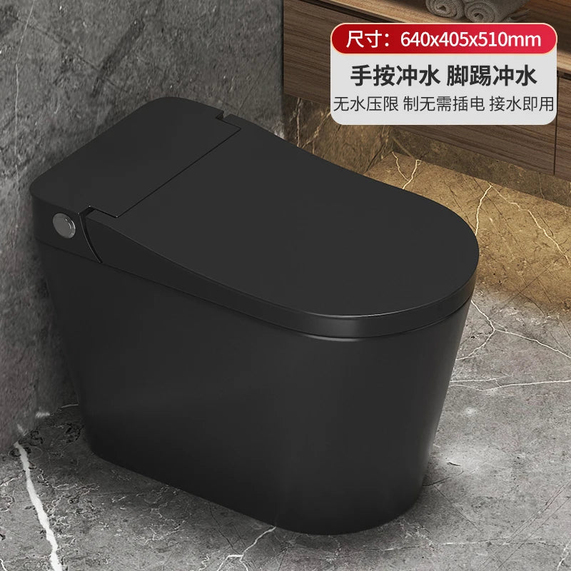 black Color Silent Flush Toilet – Cyclone Flushing, Dual-Flush