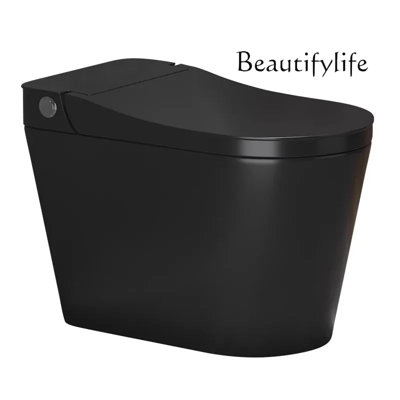 Silent Flush Toilet – Cyclone Flushing, Dual-Flush