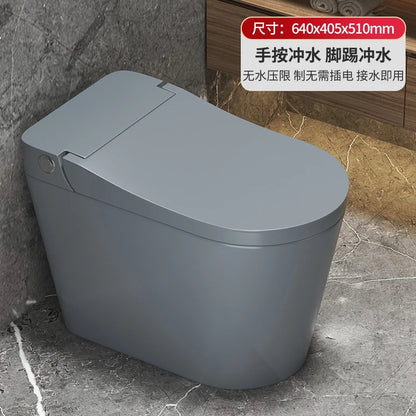 grey Color Silent Flush Toilet – Cyclone Flushing, Dual-Flush